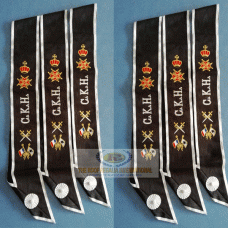 AASR 30 degree Sash